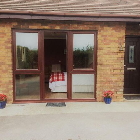 Apartamento Maes Y Mor Llanarth  Exterior foto
